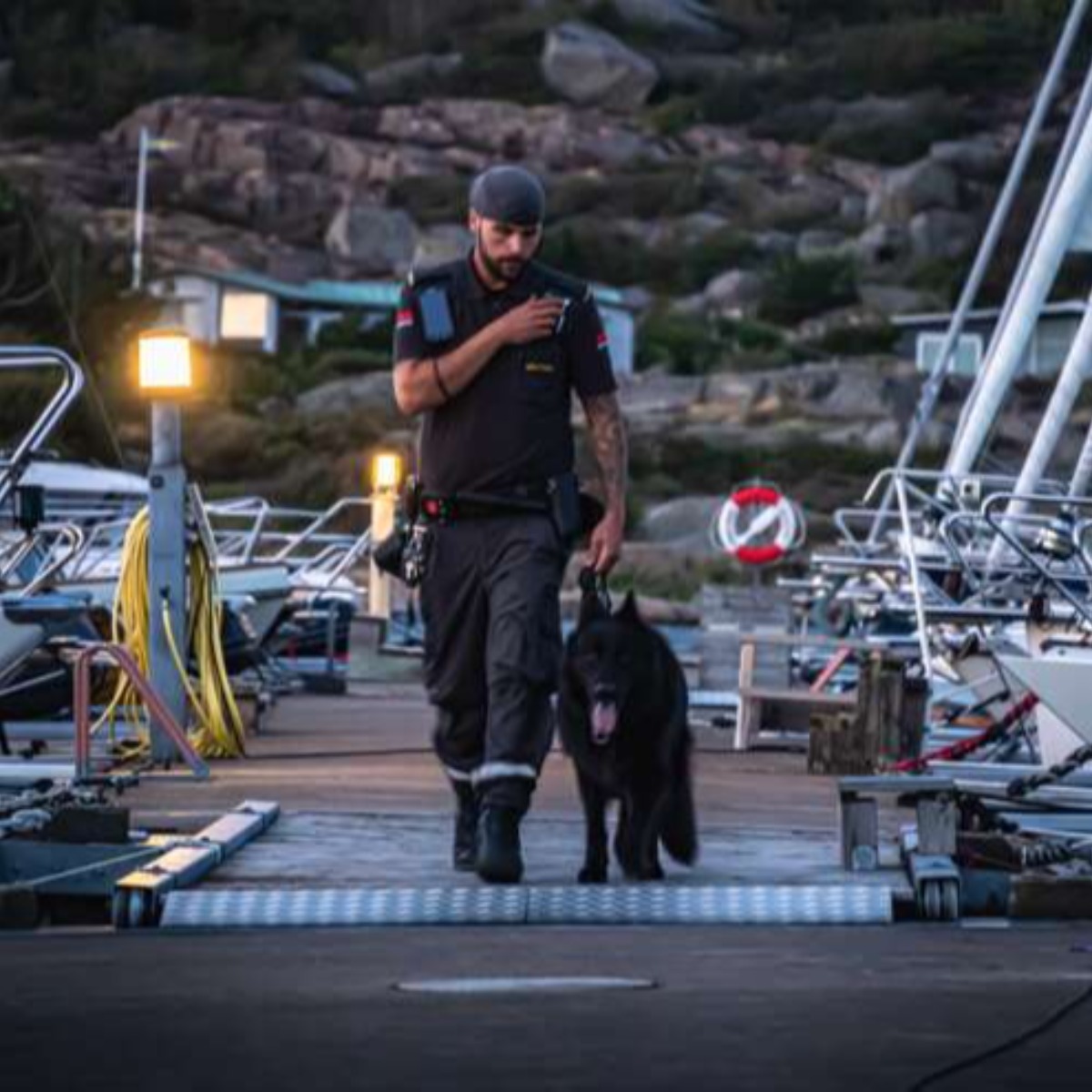 Image for card with title Securitas