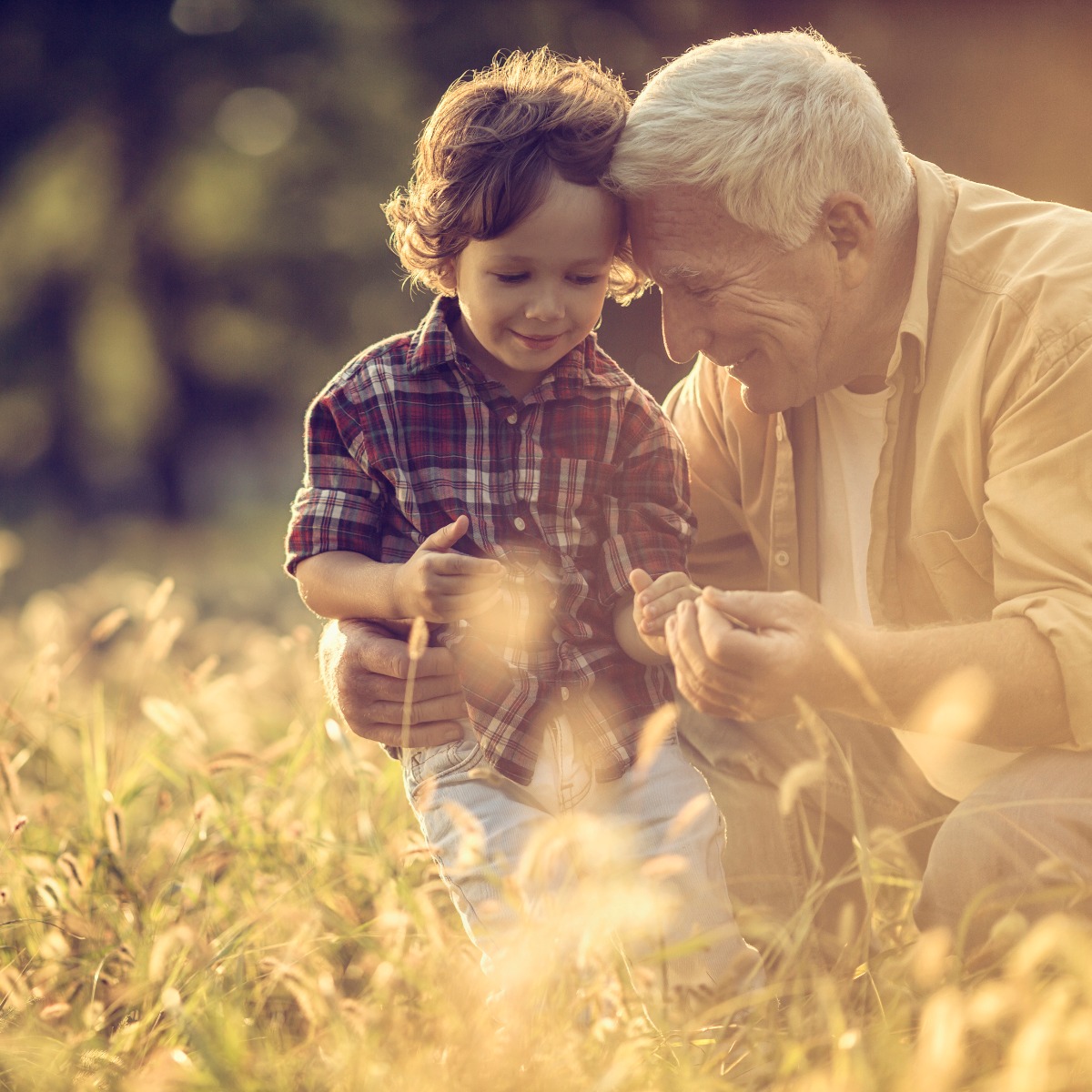 Image for card with title Orexo