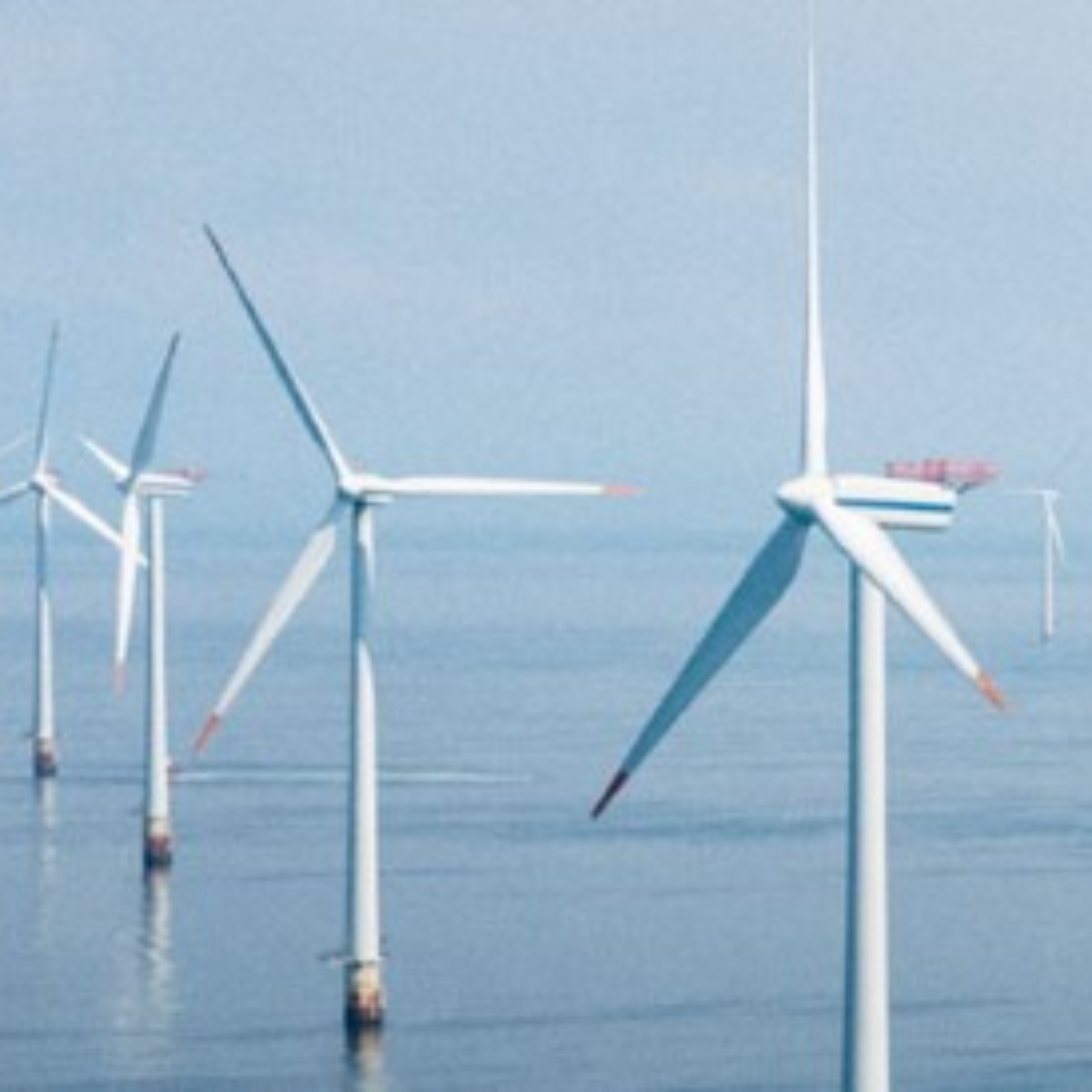 Image for card with title Vattenfall